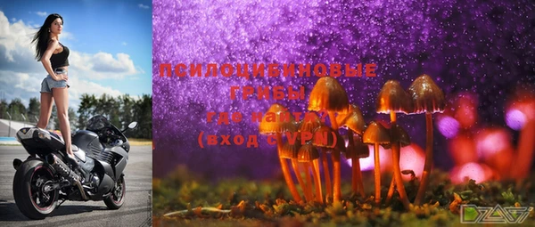 дмт Пересвет