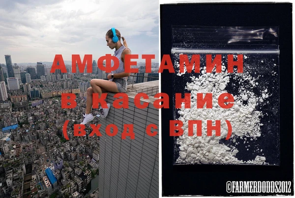 стафф Богородск