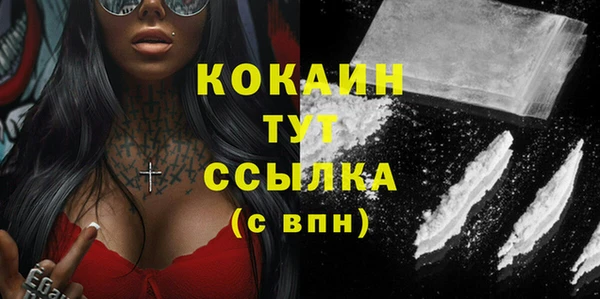 мяу мяу мука Белокуриха